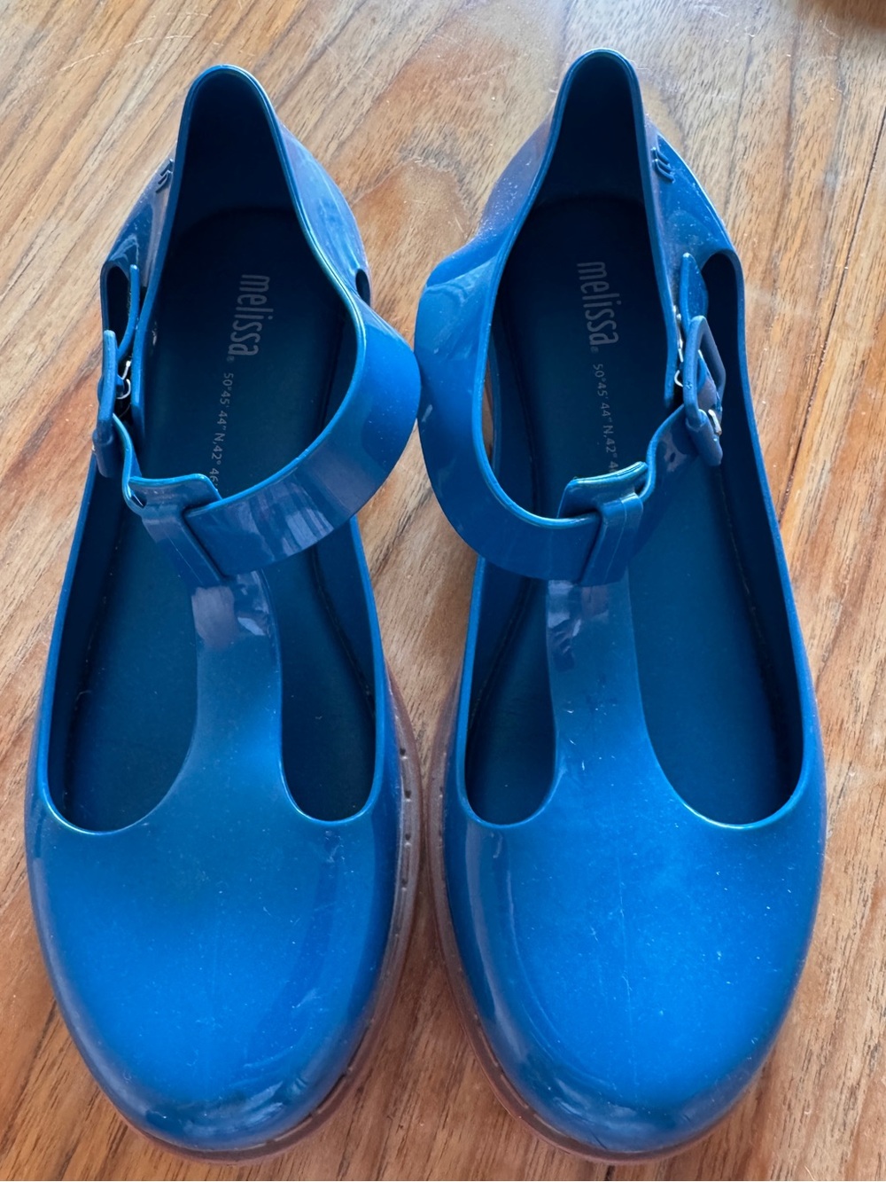 Melissa Blue Jelly Mary Jane Shoes
